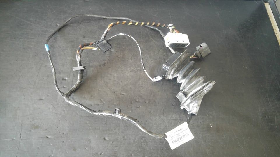 Instalatie electrica usa stanga spate seat leon 1p1 1pd