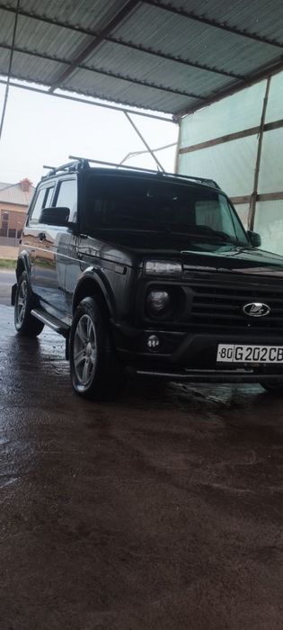 Нива ажойиб холатда.