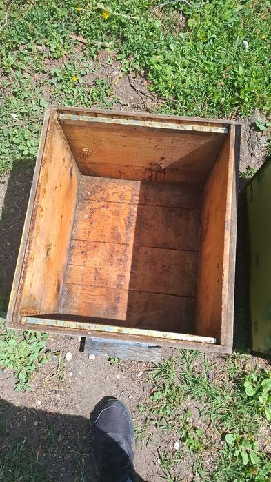 Cutii stupi 10 rame plus 2 caturi de 1/2