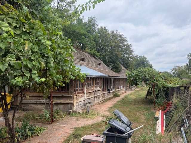Casă cu curte generoasă (3.000 mp) — Ciorogârla, Ilfov