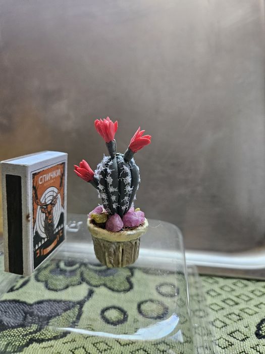 Кактусы сувенирные