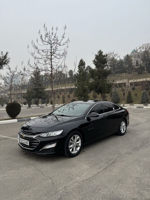 Malibu 2 primer  2020