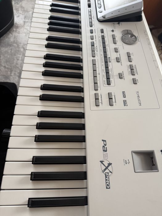 Korg pa2x pro.