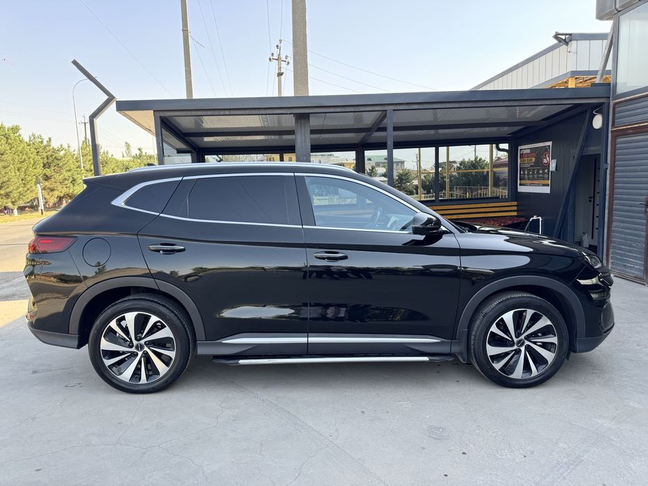 byd champion 2024 йил