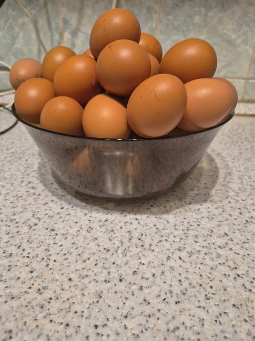 Продам яйца 550 тг