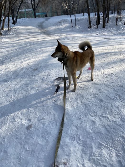 Зсл.Вязка.4года.