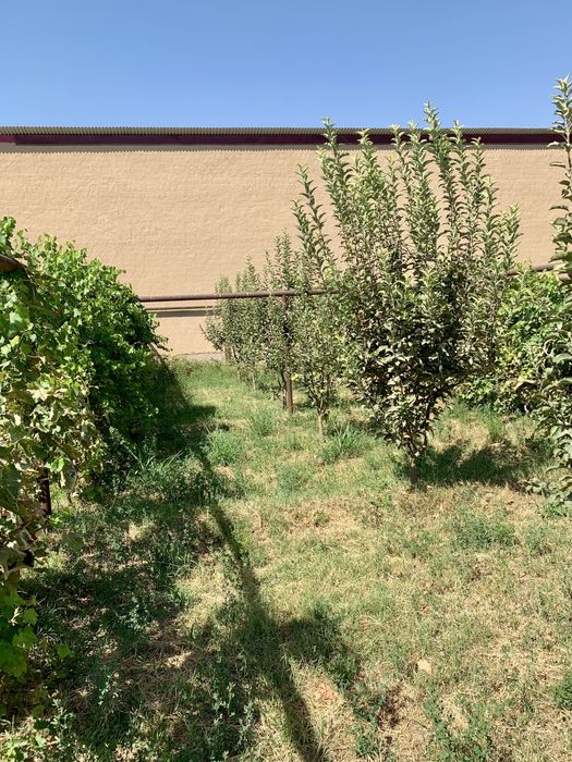 Земельный участок на локаторе