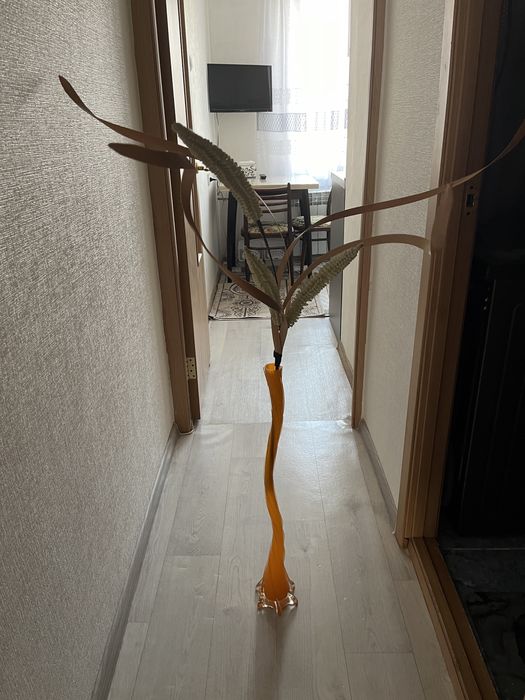 Ваза напольная с камышом