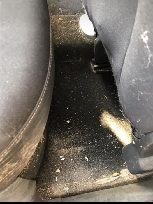 Cosmetizare auto profesionala