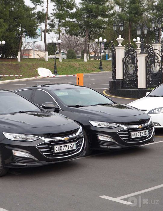 Chevrolet Malibu 2 haydovchi bilan | Biznes transfer | Safarlar