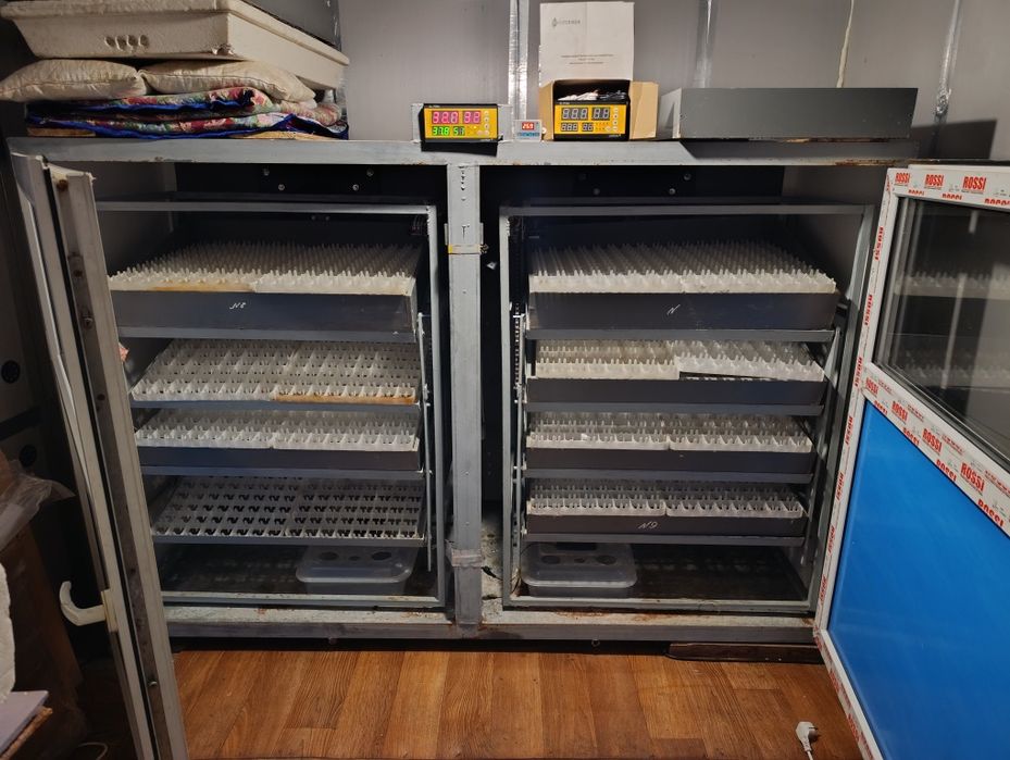 Инкубатор на 1500 яиц