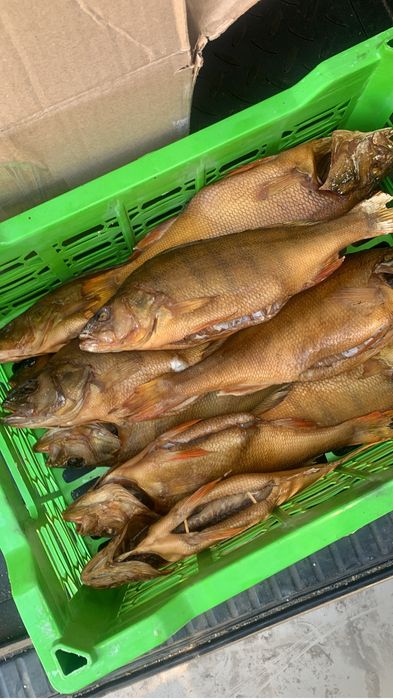 Рыба копченная опт