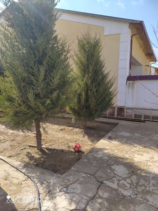 Hovli sotiladi Nurota shahrida