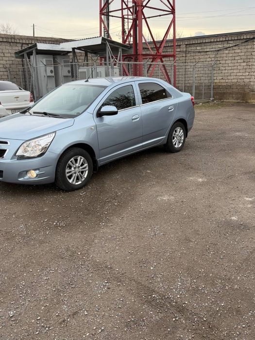 кобальт сотилади йили 2020 делфин