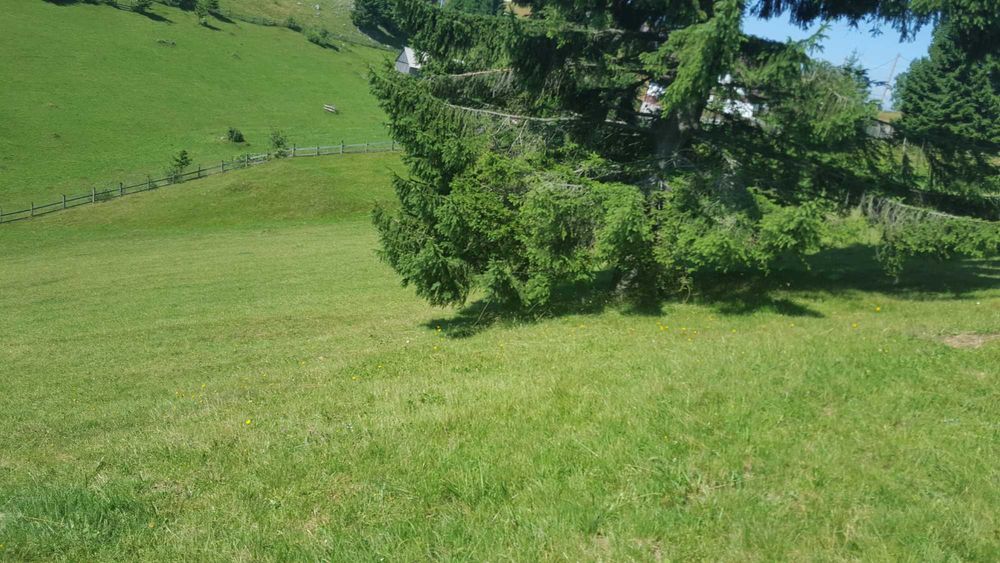 Teren de vanzare