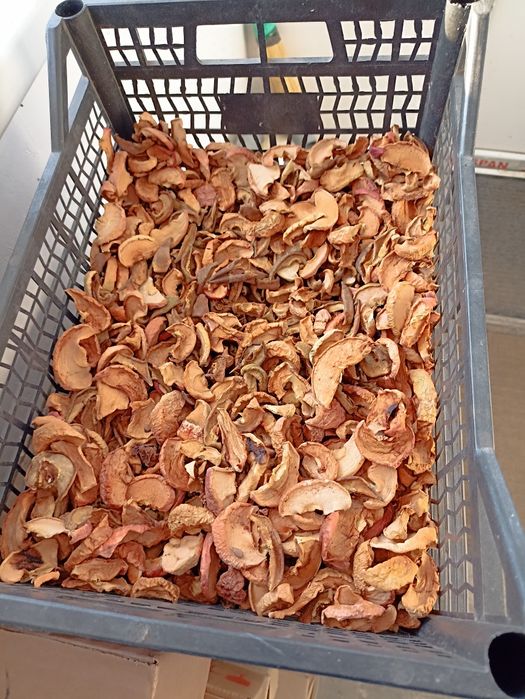 Продам сушёные яблоки (микс)