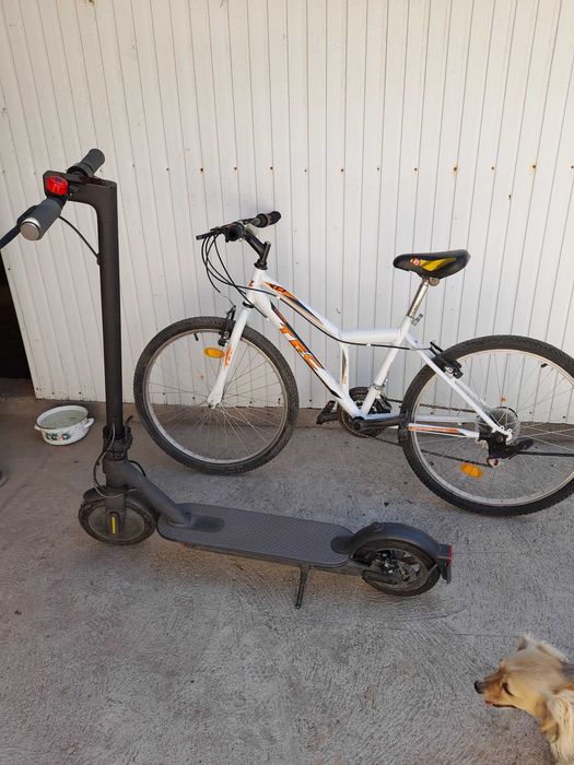 Trotineta electrica si bicicleta
