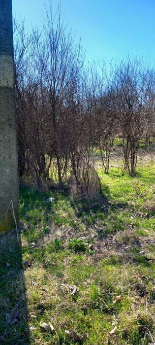 Продава се Къща в с. Опан, Област Стара Загора - 50 кв.м за 380 €/кв.м - Снимка #4