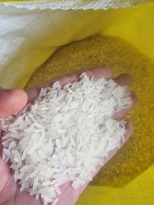 Рис Лазер с доставкой