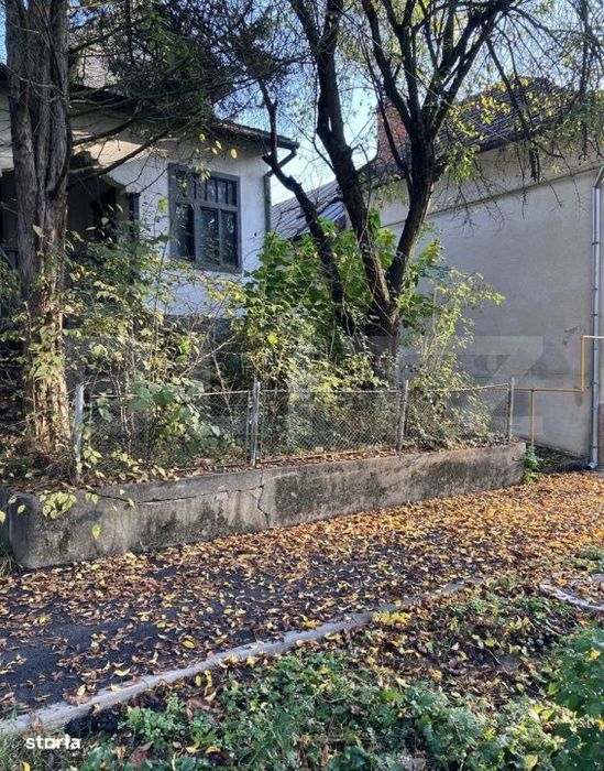 Teren Buzias, langa parc