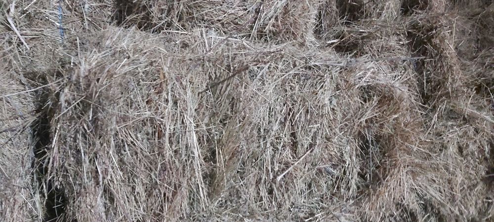 VÂND fân in baloti