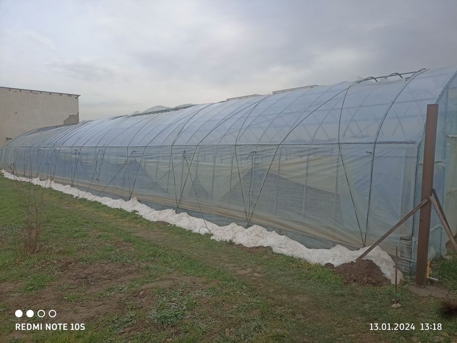 Теплица продам срочно