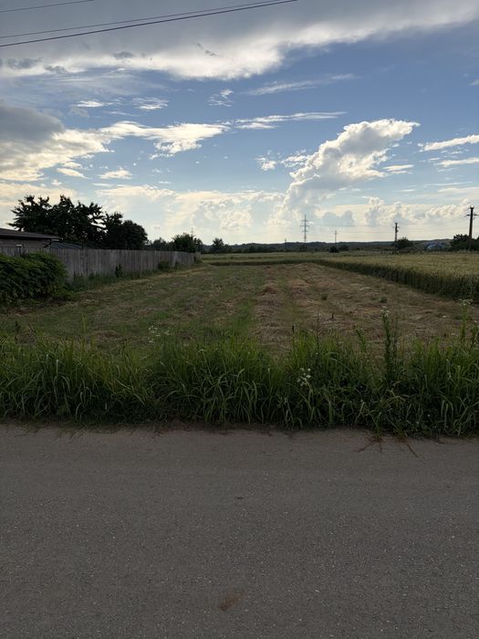 Teren intravilan 1.060 mp | Curtișoara (Olt) | Zonă liniștită, utilități