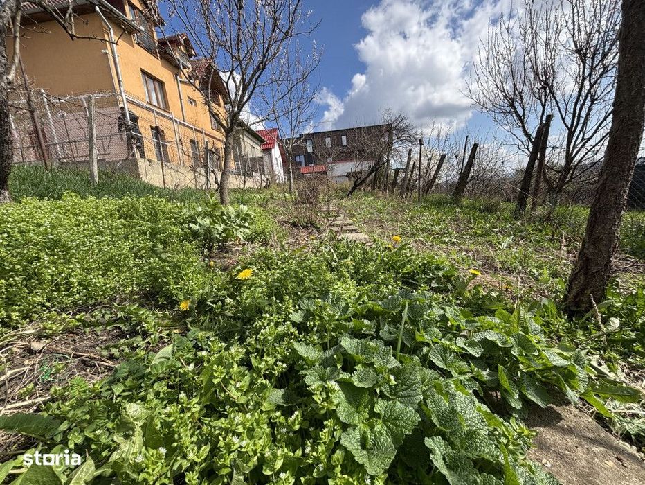 Casa individuala | 400mp teren | Zona Partizanilor - Dambu Rotund!