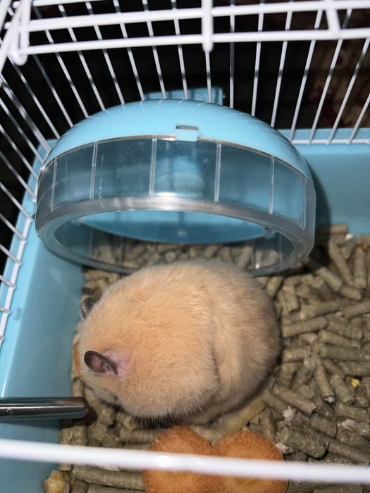 Sssssssssssssssssssss