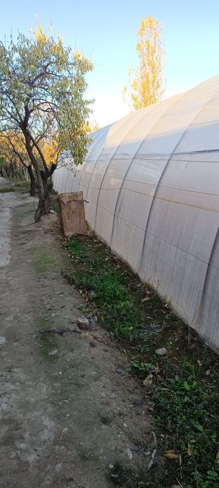 Исикхона сотилади