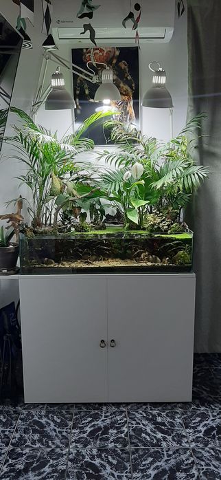 acvariu / terrariu complet echipat
