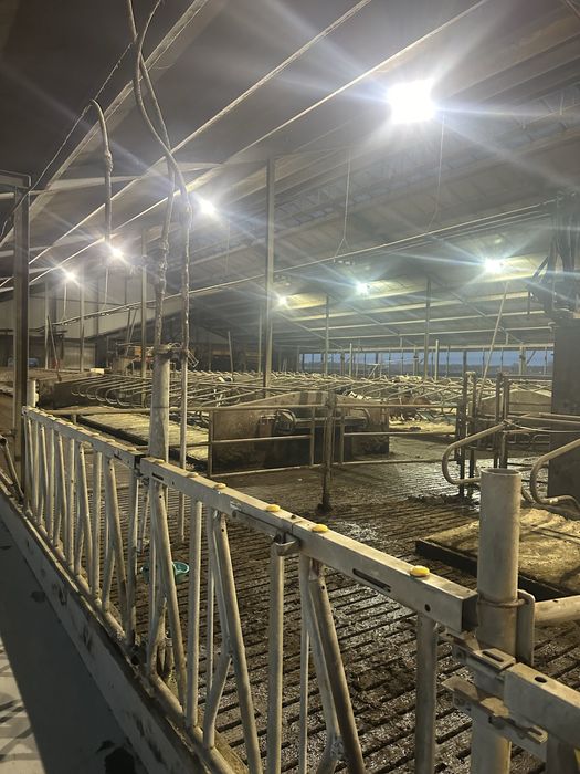 Fronturi furajare cu auto-blocare