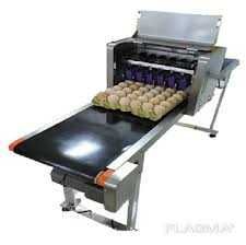 Маркиратор для яиц/ Тухумга маркиратор /