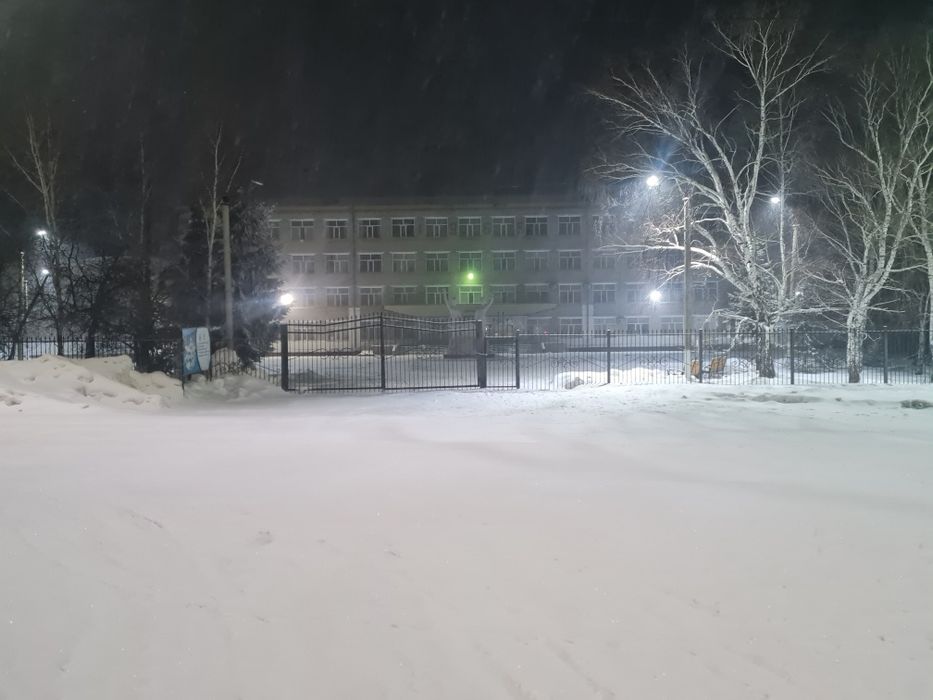 Сдам квартиру на природе