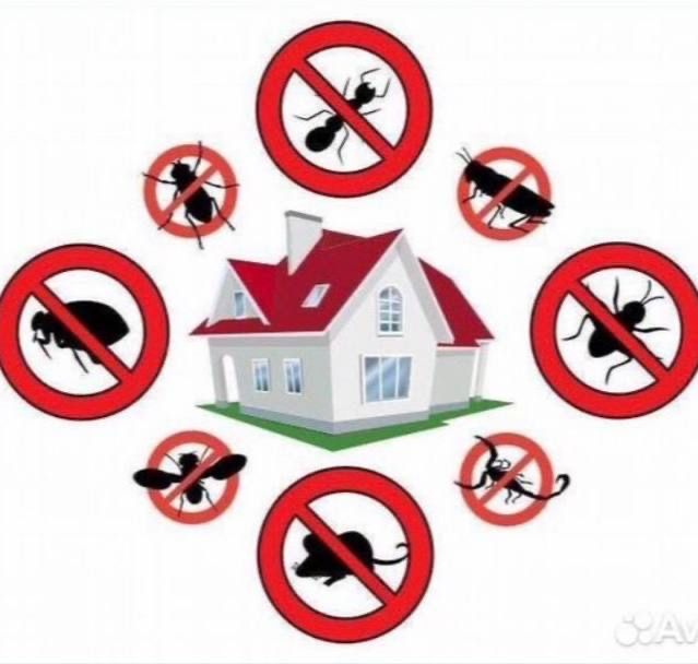 Скидка 10% Дезенфекция дизенфекция дезинфекция дизинфекция dizinfeksiy