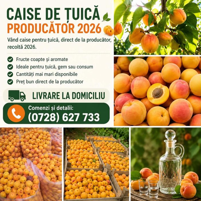 Caise penrru tuica
