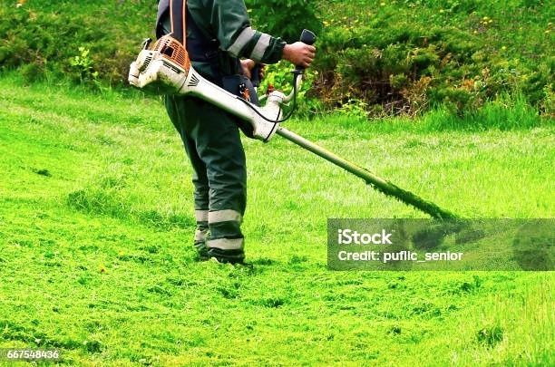 Tai tund iarbă în Timișoara, Dumbrăvița și în tot județul Timiș