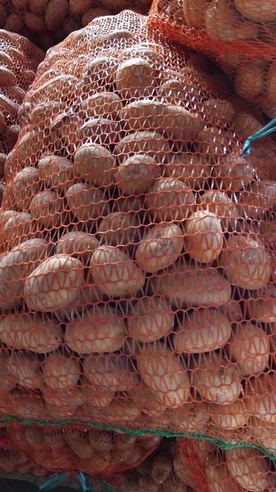 Cartofi pentru animale