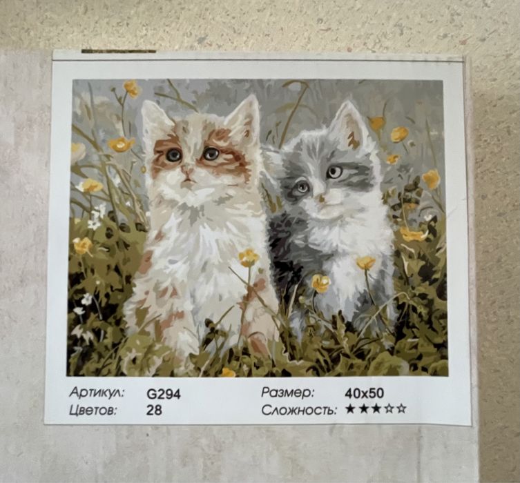 Картина для рисования по номерам