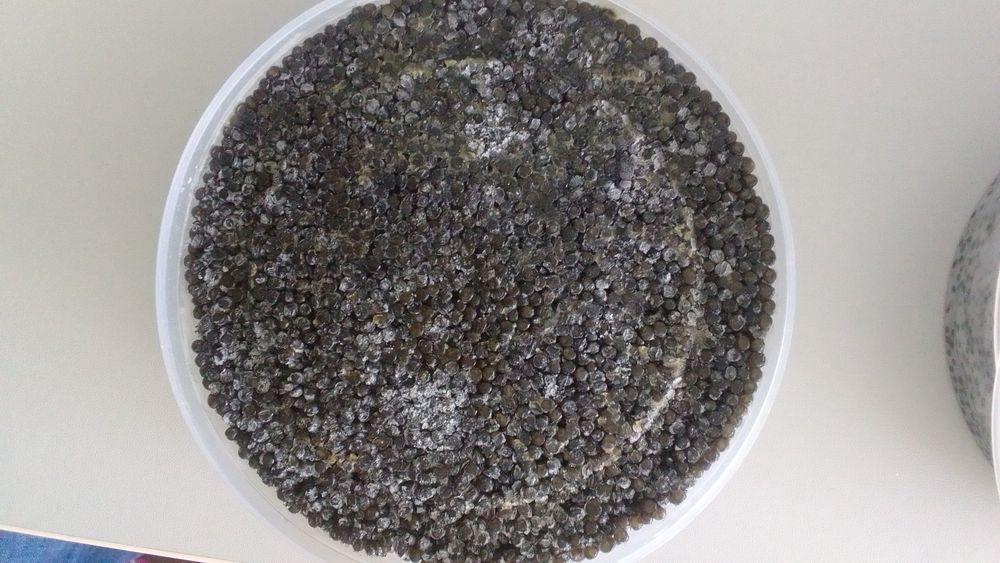 Икра чёрная натуральная