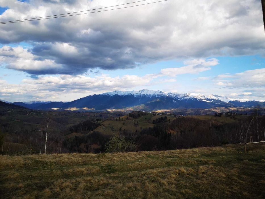 Teren intravilan cu PUZ sat Pestera - Moieciu - 4000 mp (apa, gaz, curent)