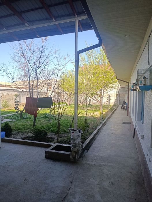 8.Сотик Еркинда Олим-Полвонда 10/хонали 300.000.$