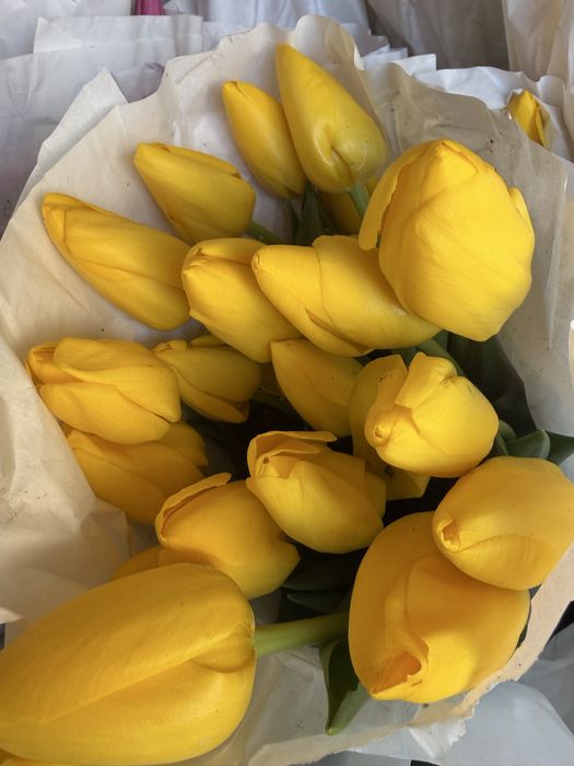 101 роза в наличий свежий