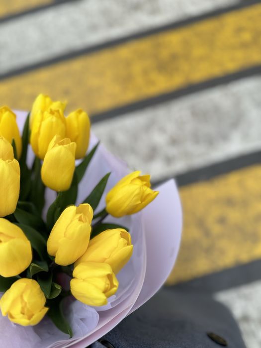 Бу цветы тюльпан