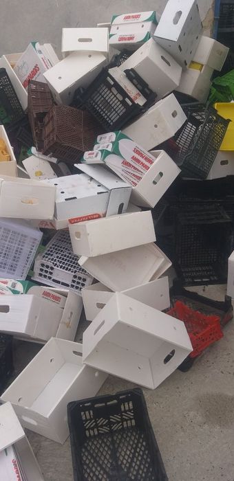 Plastik olamiz esti yashiklar