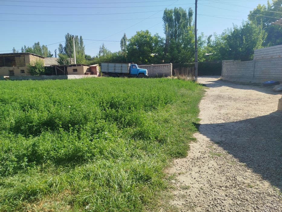 Xovli sotiladi 6 sotix