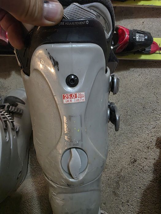 Ски Fischer и Blizzard