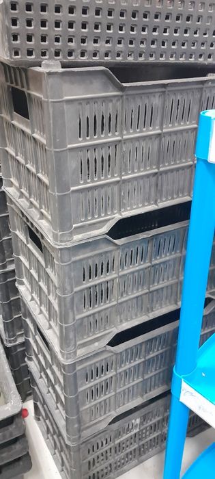 Сетка для все zeta