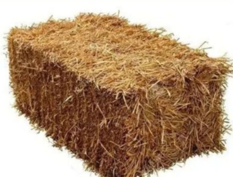 Somon press Beda press yeryanĝoq pres