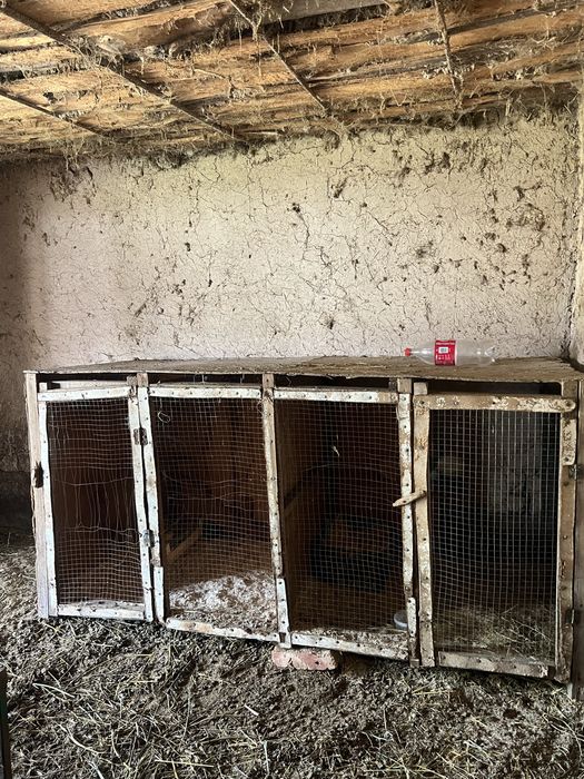 Курятник на дакан